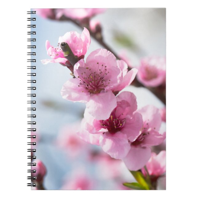 Spring blooming notebook (Front)