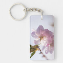 Spring blooming tree