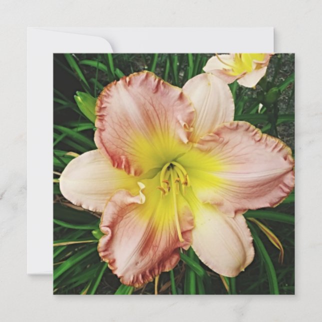 Spring Blooms Holiday Card (Front)