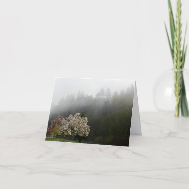 Spring Blooms in Morning Mist Photo Note Card (Front)