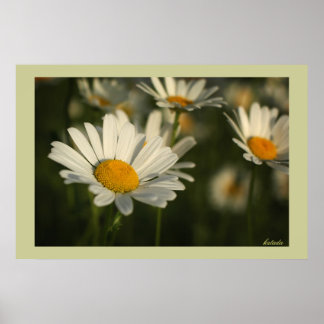Spring Blooms Poster