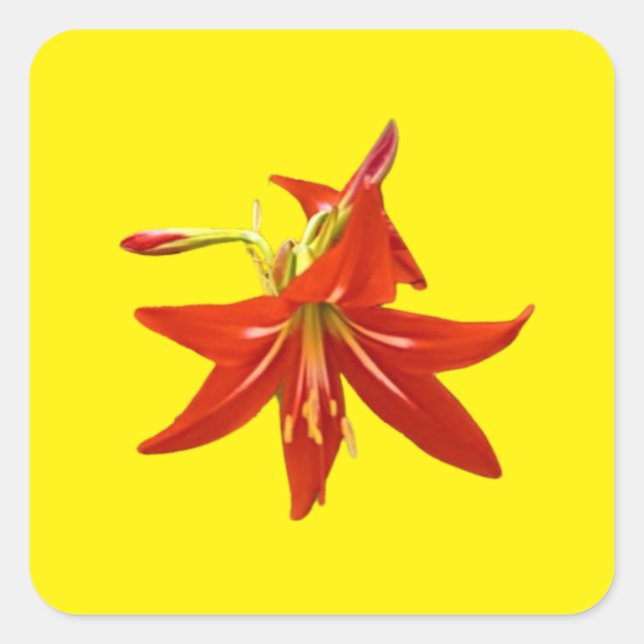 Spring Blooms Square Sticker (Front)