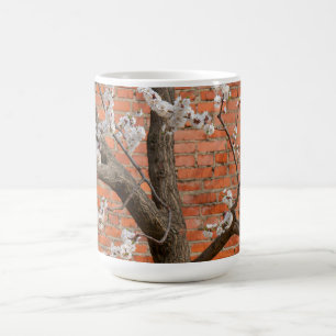 Spring Blossom Apricot Tree Red Brick Wall Coffee Mug