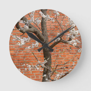 Spring Blossom Apricot Tree Red Brick Wall Round Clock