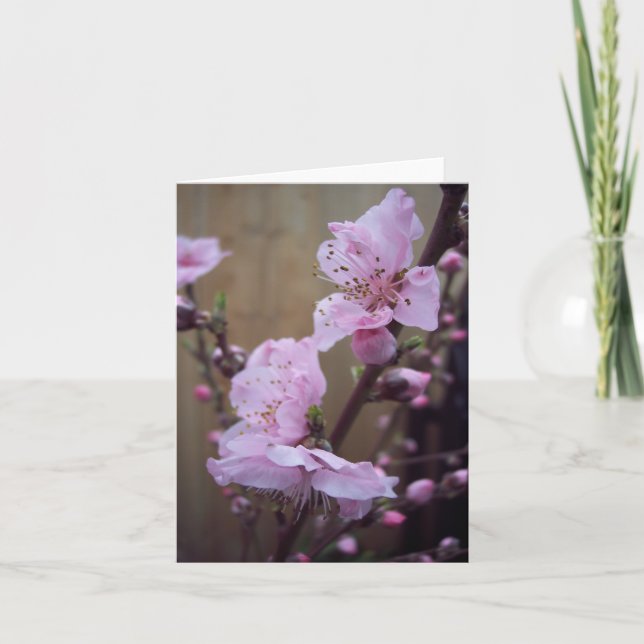 Spring Blossom Blank Note Card (Front)