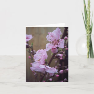 Spring Blossom Blank Note Card