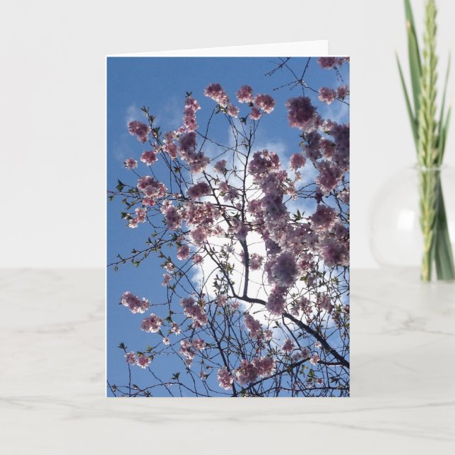 Spring blossom from Loch Ness Greeting Card (Front)