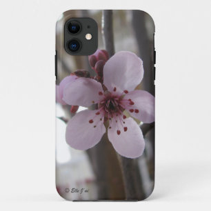 Spring Blossom iPhone 5 Case