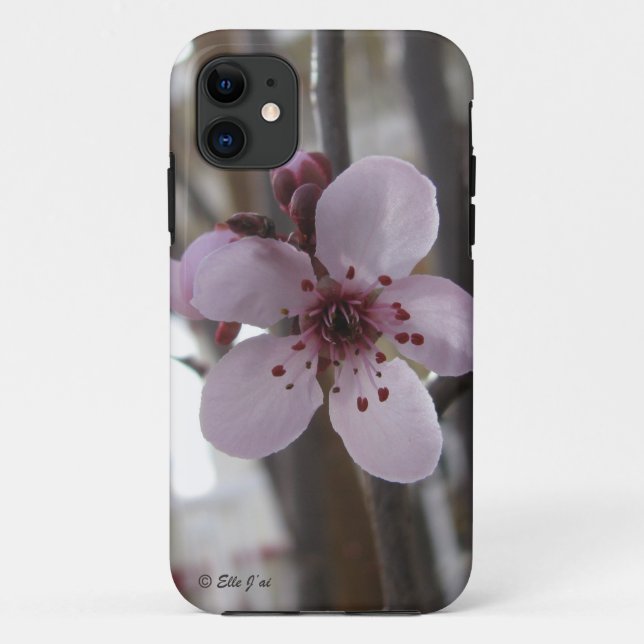 Spring Blossom iPhone 5 Case (Back)