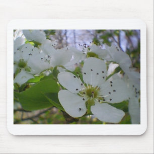 Spring Blossom Mouse Pad