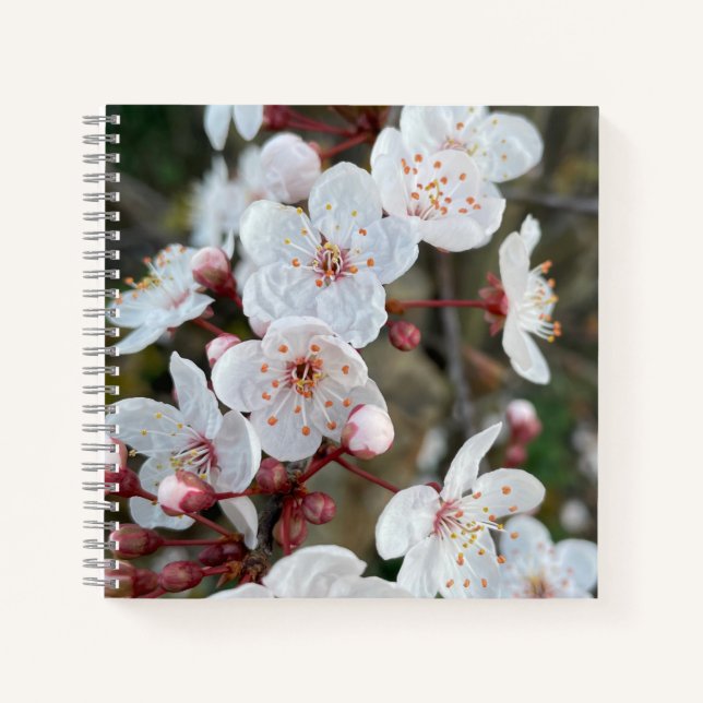 Spring Blossom Notebook (Front)