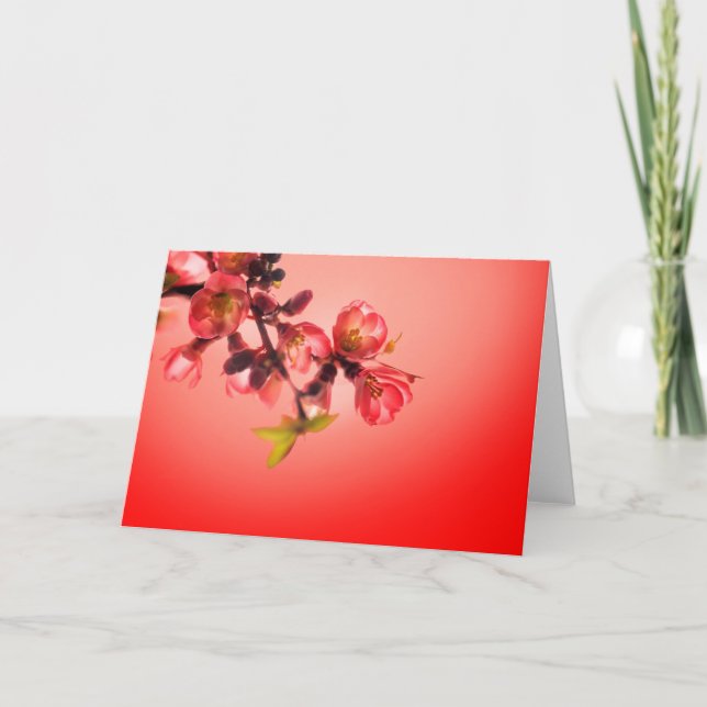 Spring blossom over red background holiday card (Front)