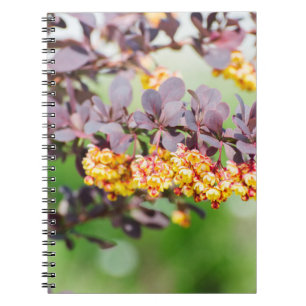 Spring blossoming notebook