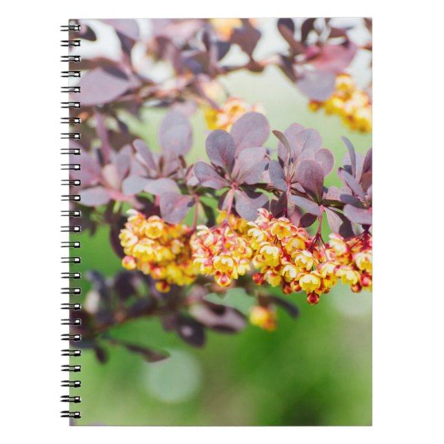Spring blossoming notebook (Front)
