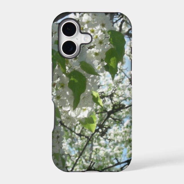 Spring Blossoms (Back)