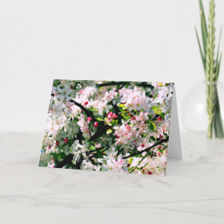 Spring Blossoms Card