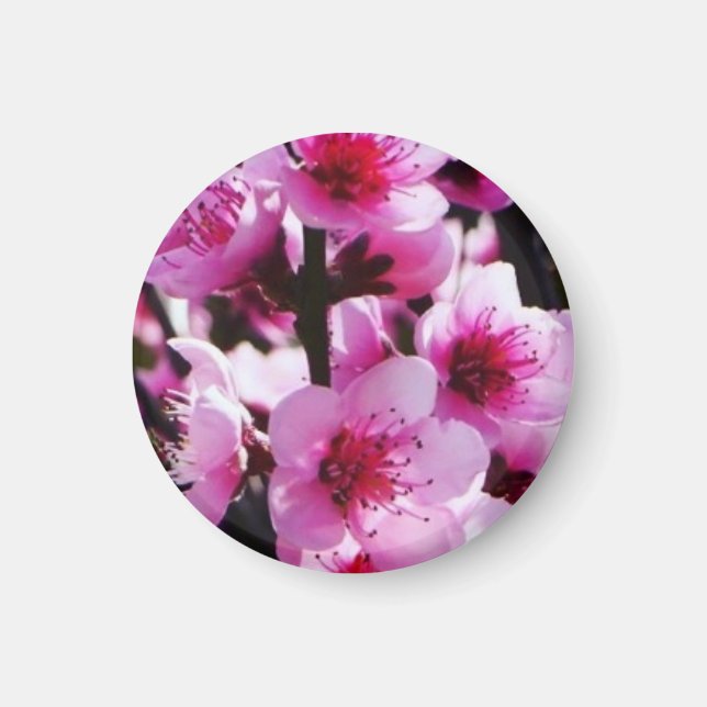 Spring Blossoms Magnet (Front)