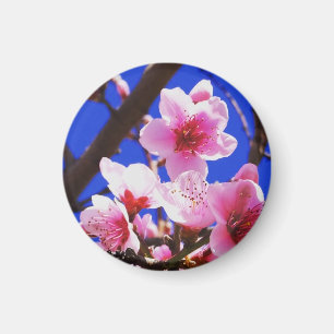 Spring Blossoms Magnet