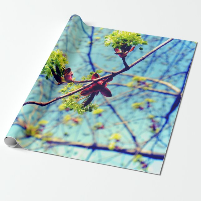 Spring blossoms maple tree stylised wrapping paper (Unrolled)