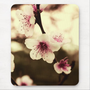 Spring Blossoms Mousepad