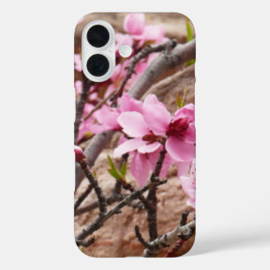 Spring Blossoms on Zion Rocks iPhone 16 Case