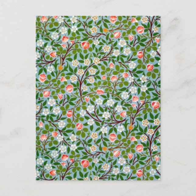 Spring Blossoms Postcard (Front)