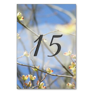 Spring Blossoms Table Number