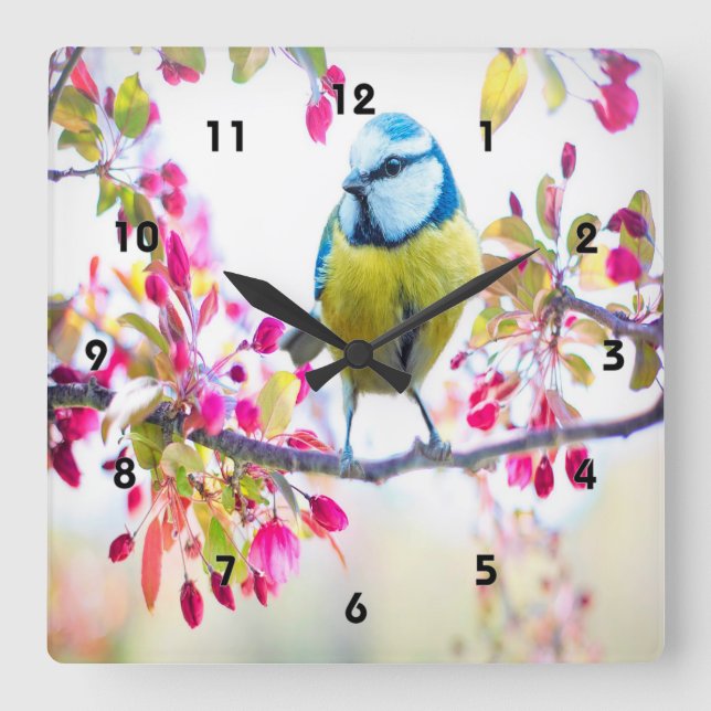 Spring Blue Bird Square Wall Clock (Front)