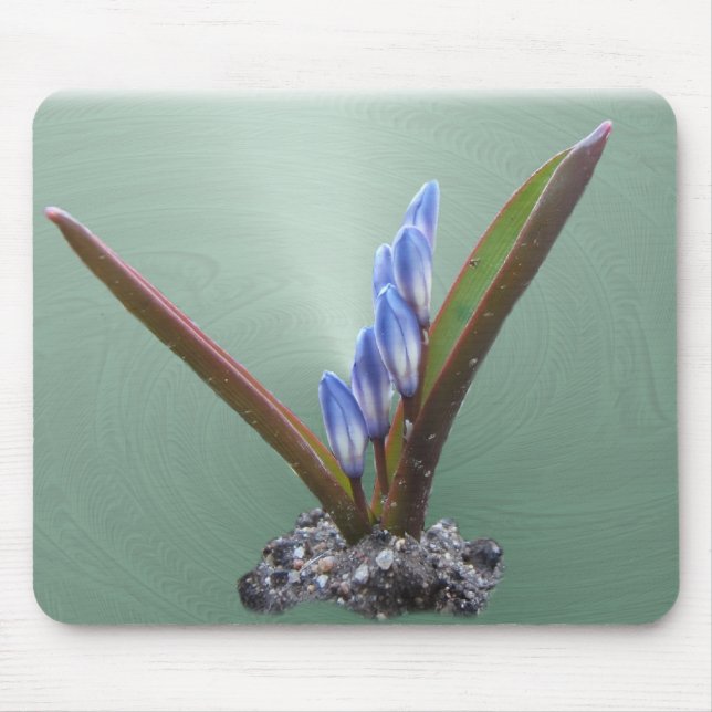 Spring Blue swirl ~ mousepad (Front)