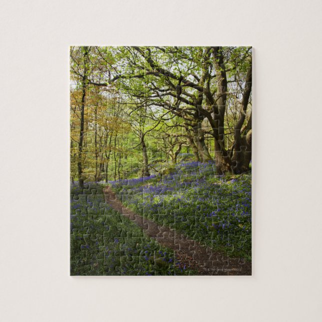 Spring bluebell woods jigsaw puzzle (Vertical)