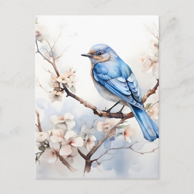 Spring Bluebird in the Blossoming Tree Announcement Postcard (Front)