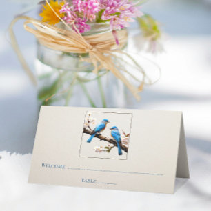 Spring Bluebirds Reception Place Card