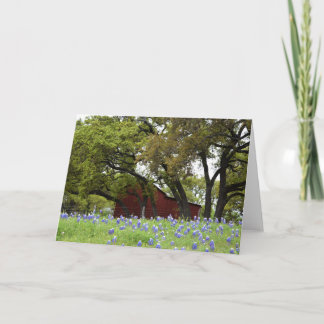 Spring Bluebonnets in Johnson City, Texas Card