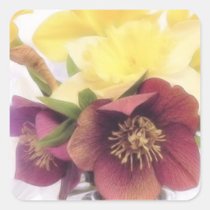 Spring Bouquet - Hellebores and Daffodils Square Sticker