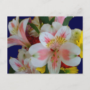 Spring Bouquet Postcards