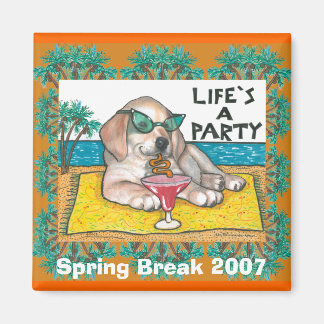 Spring Break 2007 Magnet