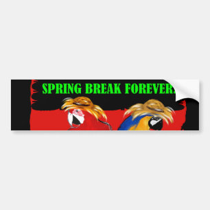 SPRING BREAK FOREVER PARROTS BUMPER STICKER