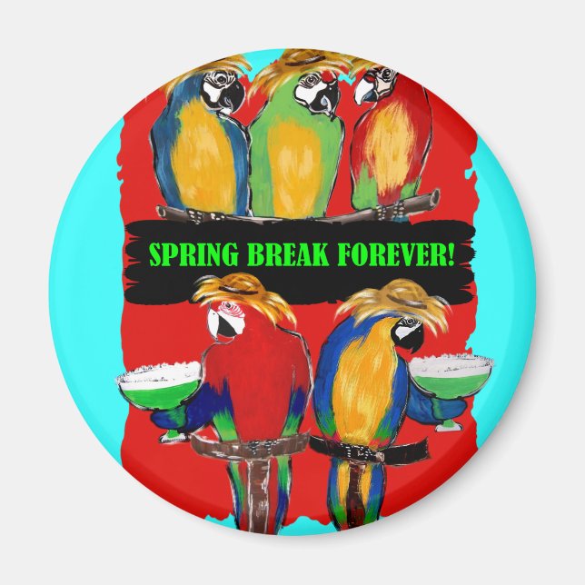 SPRING BREAK FOREVER PARROTS MAGNET (Front)