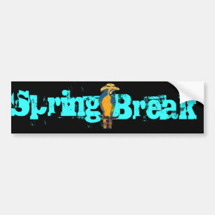 Spring Break Parrots Bumper Sticker