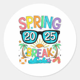 Spring Break Squad Crew Vintage 2025 Beach Palm Fa Classic Round Sticker