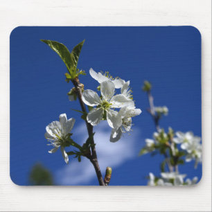 Spring Buds Mouse Pad