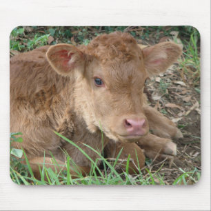 Spring Calf Mouse Pad
