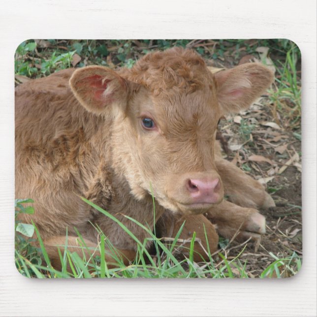 Spring Calf Mouse Pad (Front)