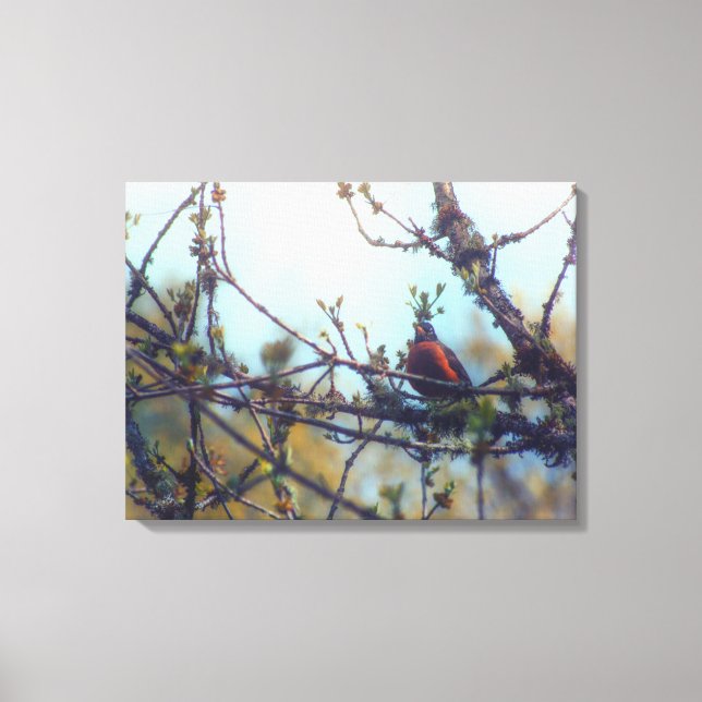 Spring Canvas Print (Front)