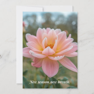 Spring Card