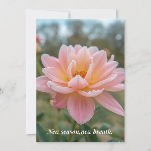 Spring Card (Front)
