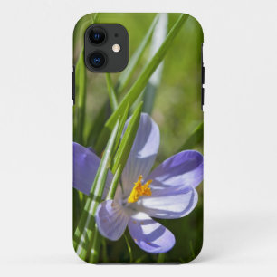 Spring iPhone 11 Case