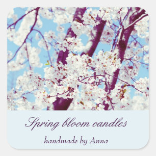 Spring cherry blooms against blue sky square sticker
