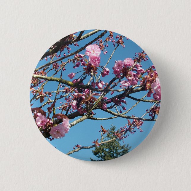 spring cherry blossom 6 cm round badge (Front)