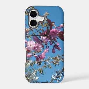 spring cherry blossom tree in blue sky